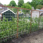 Groene tuinafscheiding